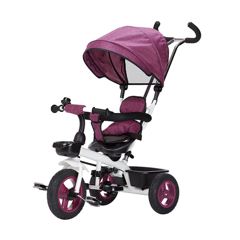 3 In 1 Tricycle T302G