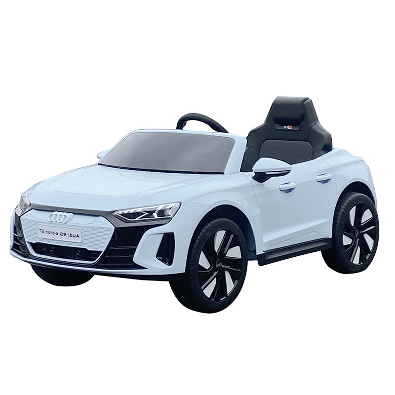 Audi electric car  (1)