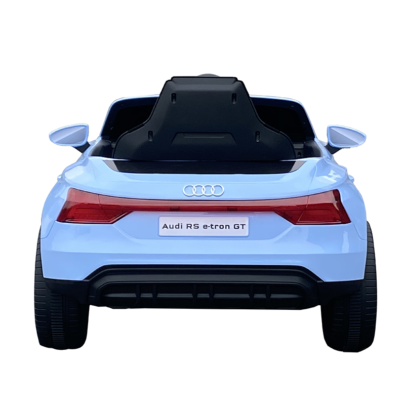 Audi electric car  (3)
