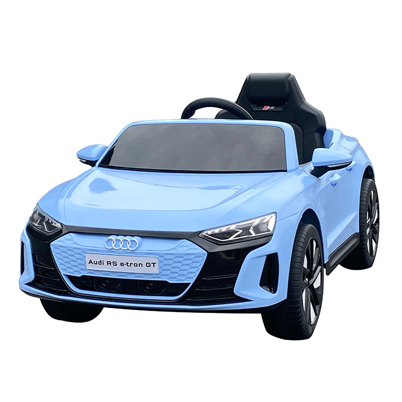 Audi electric car  (4)