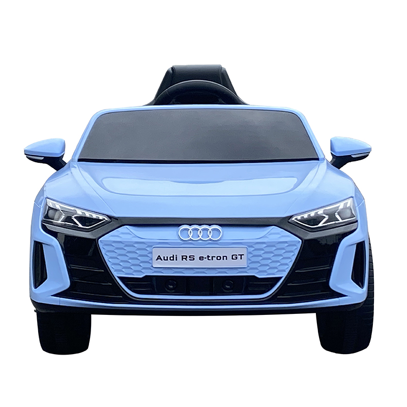 Audi electric car  (5)