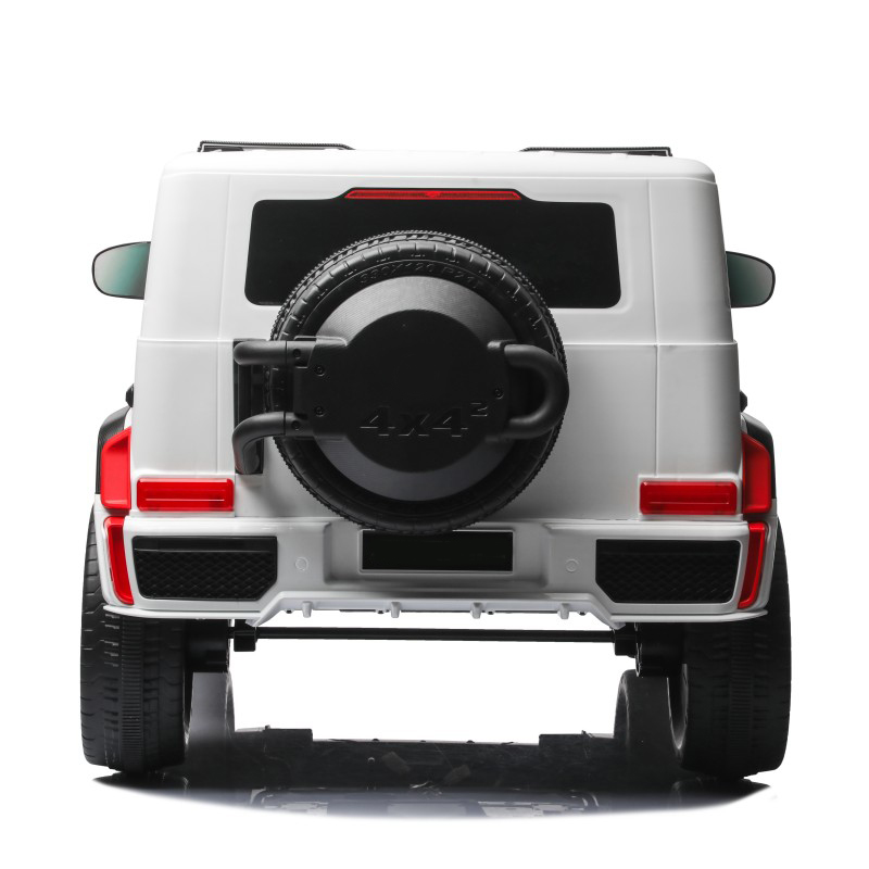 BWN1176 kids car (9)