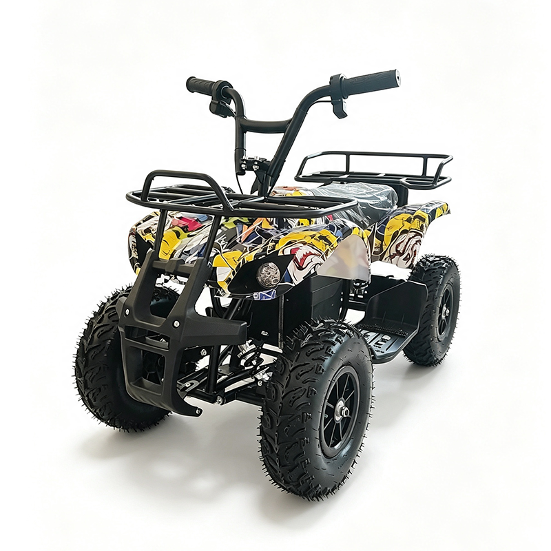 Battery Electric Plastic Material Car (3)