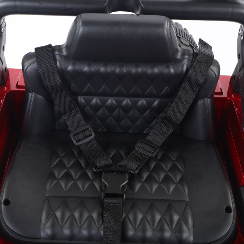 Electric Vehicle  (9)