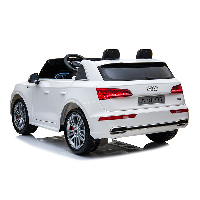 HBQ5L AUDI لائسنس سواري تي (5)