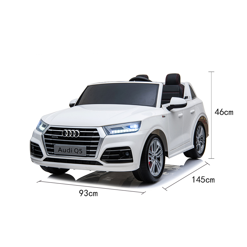 HBQ5L AUDI License ជិះលើ (8)