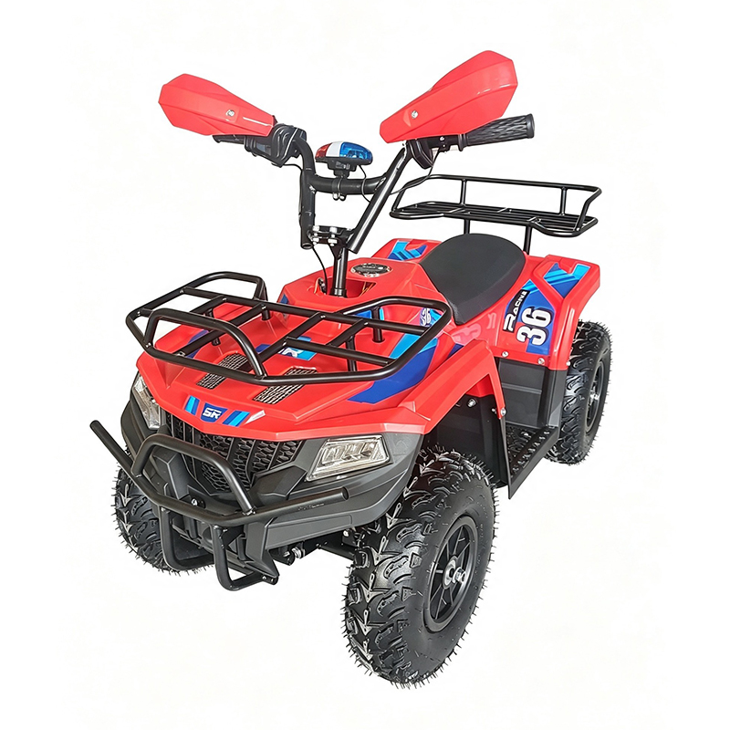 Mini ATV Quad Bike (1)