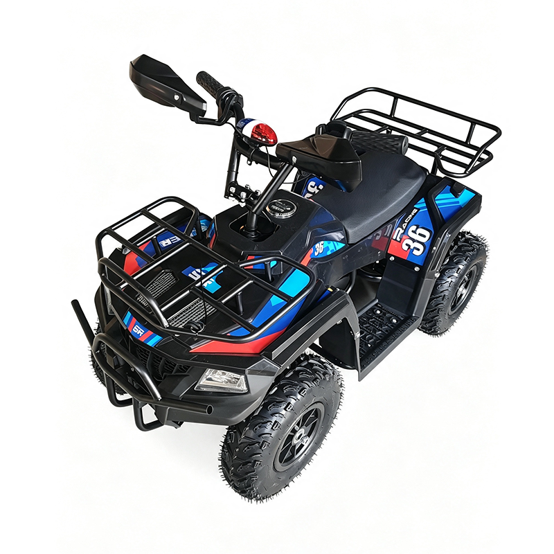 Mini ATV Quad Bike (1)