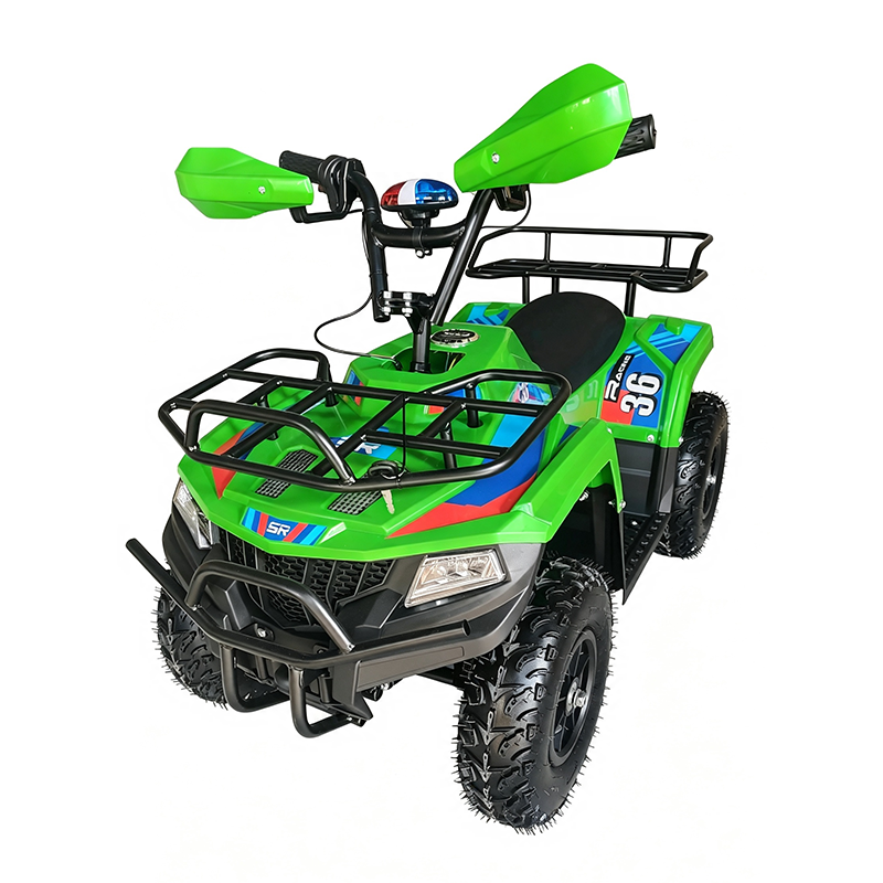 Mini ATV Quad Bike (2)
