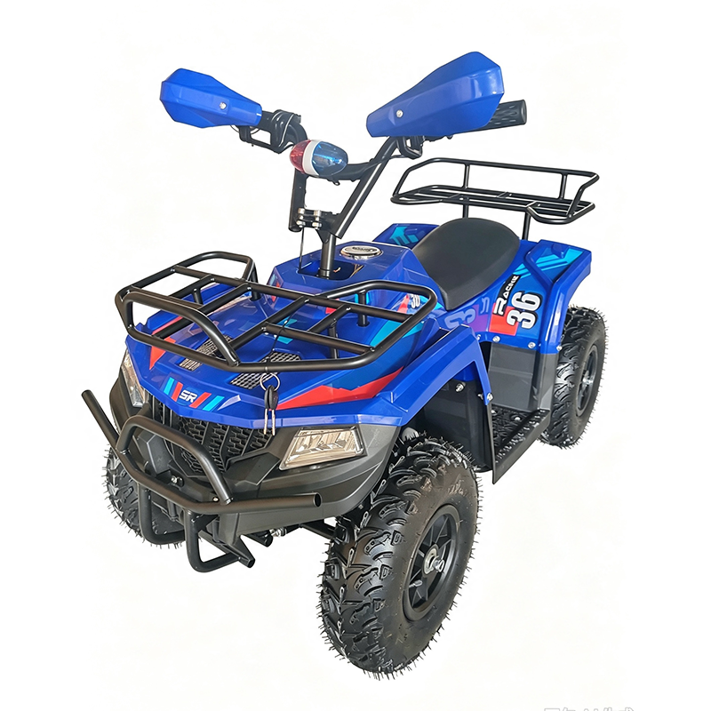 Mini ATV Quad Bike (3)