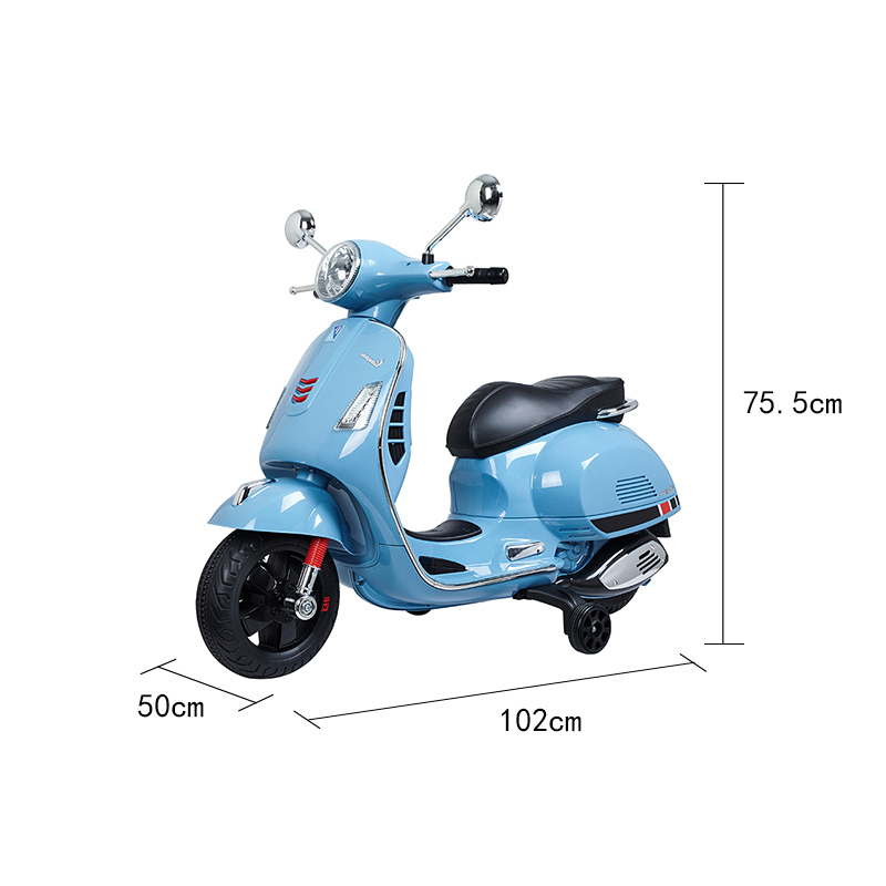 electric bike (1)